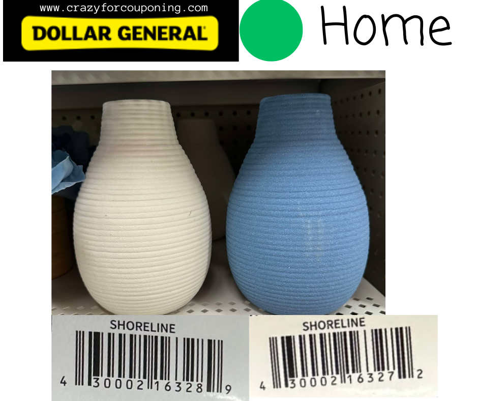 Dollar General Green DOT Home Visuals