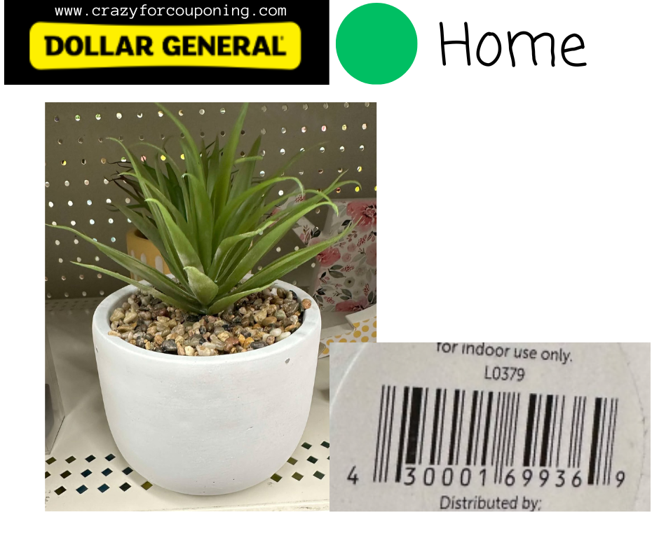Dollar General Green DOT Home Visuals