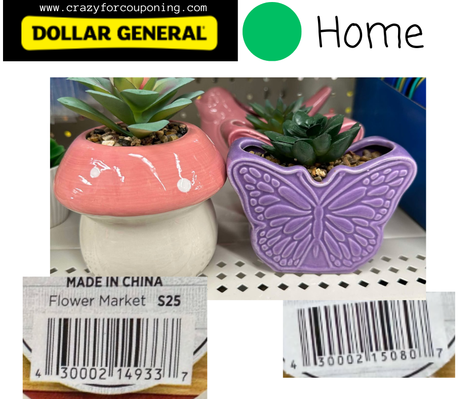 Dollar General Green DOT Home Visuals