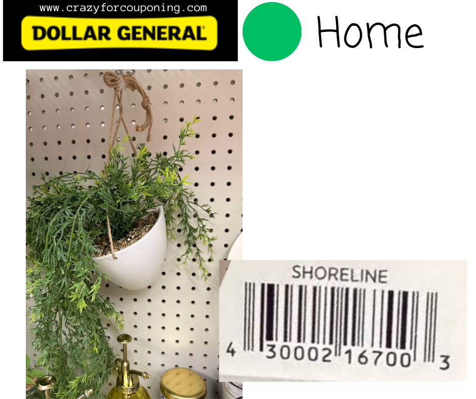 Dollar General Green DOT Home Visuals