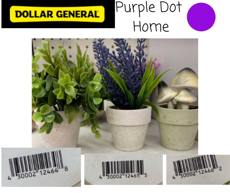 Dollar General Purple Dot Home Visual