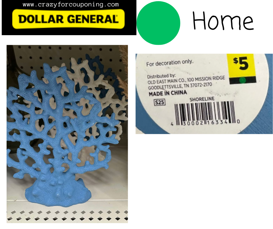 Dollar General Green DOT Home Visuals