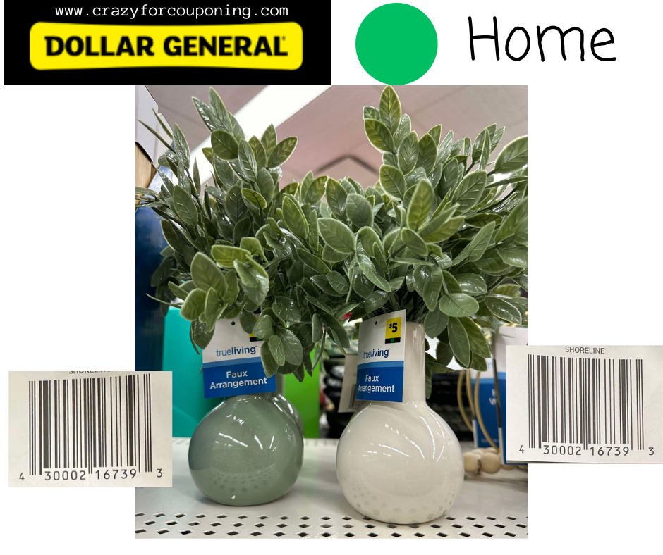 Dollar General Green DOT Home Visuals