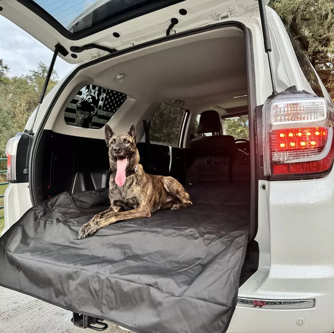 4Knines Rear Seat Covers