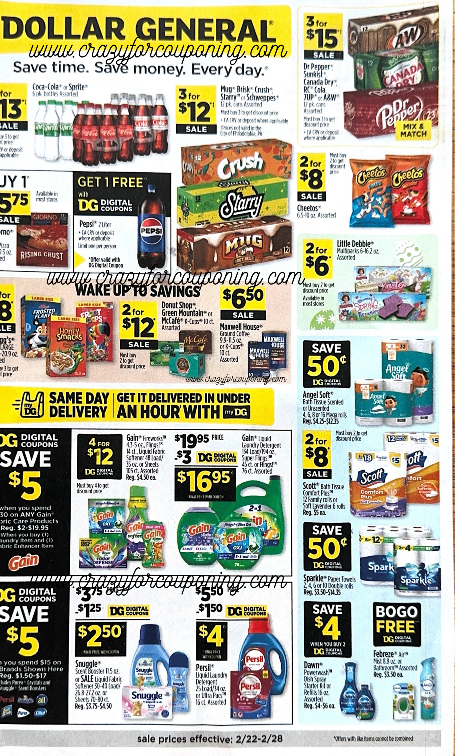 Dollar General Ad 02/22-02/28
