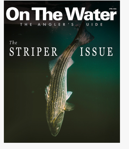 Free 2026 Striper Issue Guide